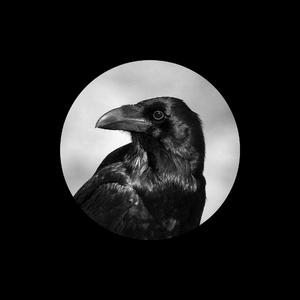 日本japenese高清教师
