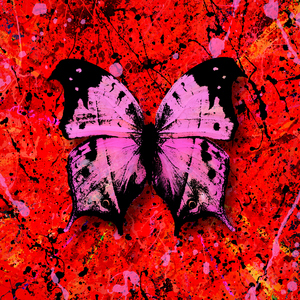 日本japenese高清教师
